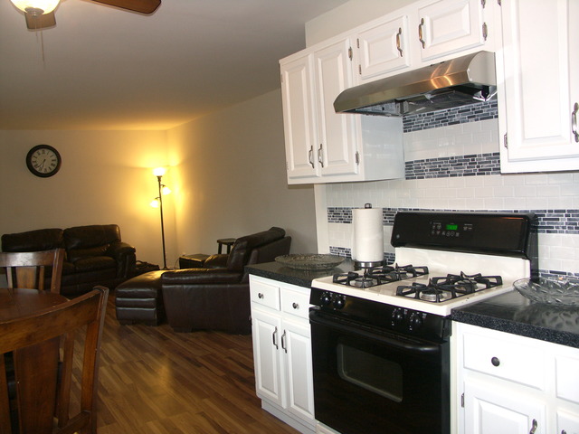 804 W Appletree Ln, Bartlett, IL 60103 photo 6