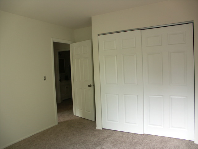 804 W Appletree Ln, Bartlett, IL 60103 photo 22