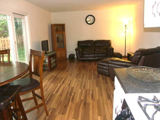 804 W Appletree Ln, Bartlett, IL 60103 photo 10