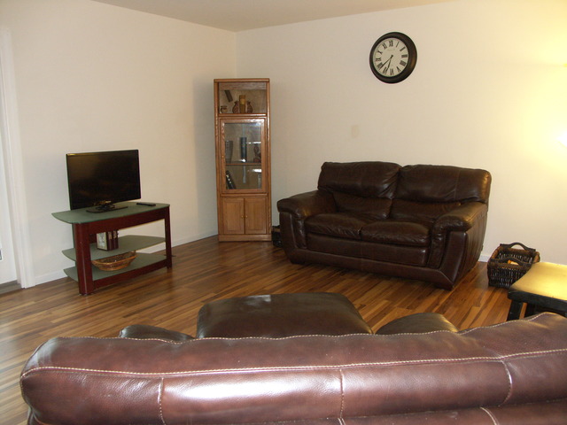 804 W Appletree Ln, Bartlett, IL 60103 photo 12