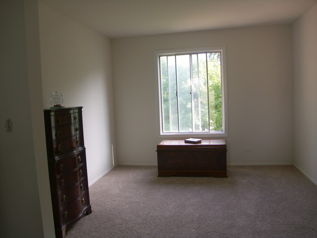 804 W Appletree Ln, Bartlett, IL 60103 photo 20