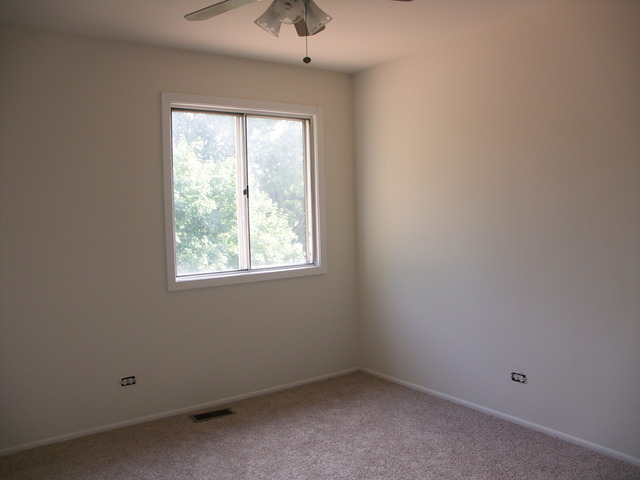 804 W Appletree Ln, Bartlett, IL 60103 photo 23