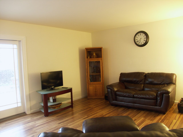 804 W Appletree Ln, Bartlett, IL 60103 photo 7