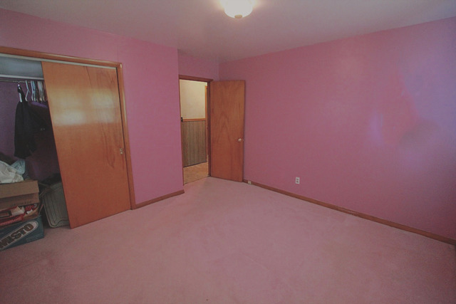 195 N Forrest Dr, Mazon, IL 60444 photo 10