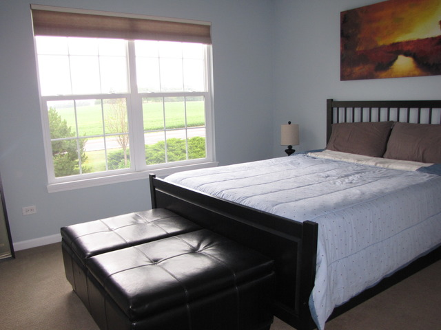 26901 Ashgate Xing, Plainfield, IL 60585 photo 20