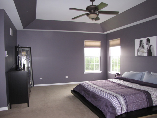 26901 Ashgate Xing, Plainfield, IL 60585 photo 16