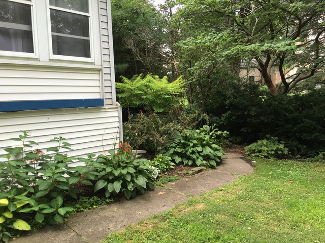 117 W Mazon Ave, Dwight, IL 60420 photo 4