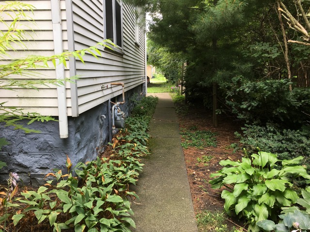 117 W Mazon Ave, Dwight, IL 60420 photo 3