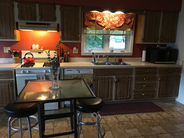 117 W Mazon Ave, Dwight, IL 60420 photo 10