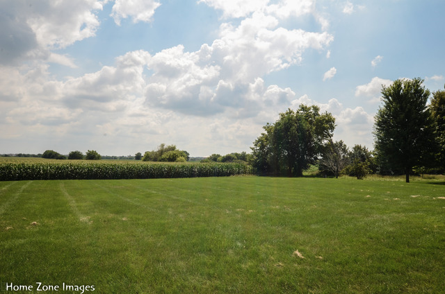 12453 Brighton Ln, Plainfield, IL 60585 photo 22