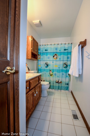 12453 Brighton Ln, Plainfield, IL 60585 photo 18