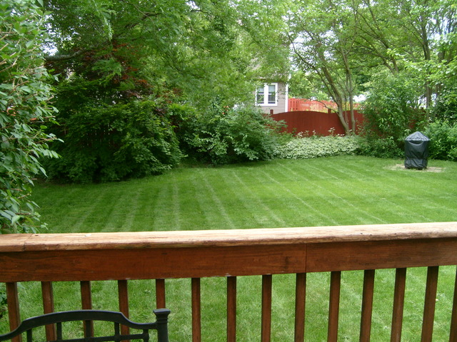 1255 Cimarron Dr, Cary, IL 60013 photo 23