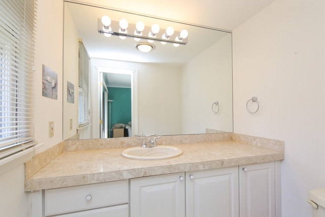17 Pine Tree Rd, Northbrook, IL 60062 photo 11