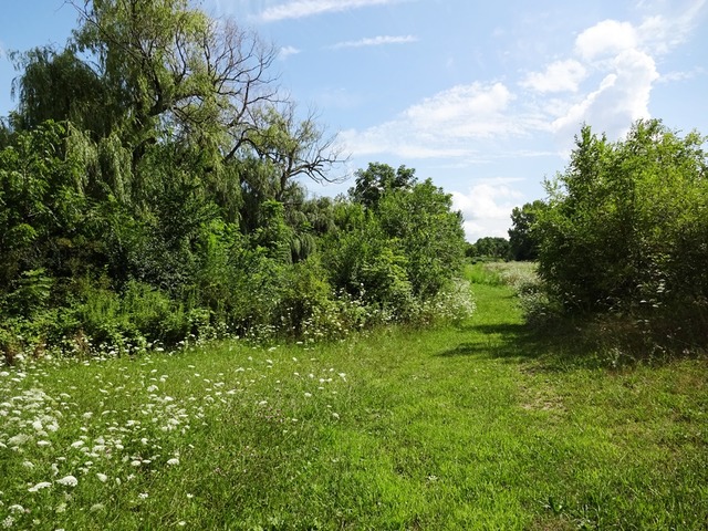14747 Eddy Rd, Davis Junction, IL 61020 photo 2