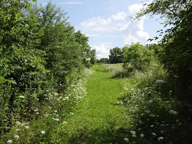 14747 Eddy Rd, Davis Junction, IL 61020 photo 3