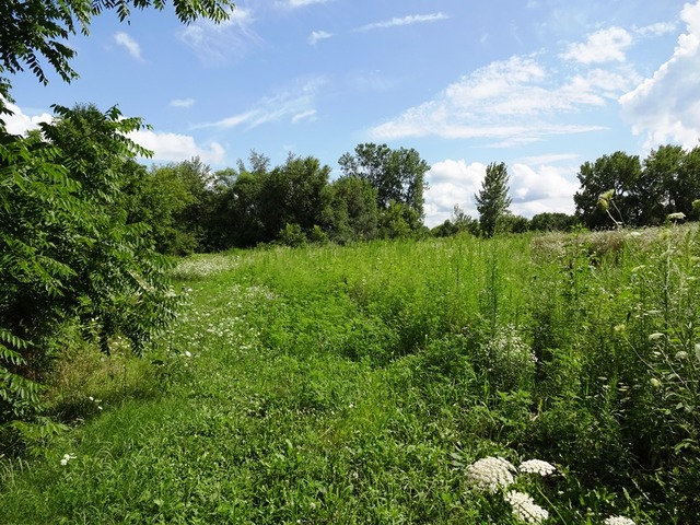 14747 Eddy Rd, Davis Junction, IL 61020 photo 4