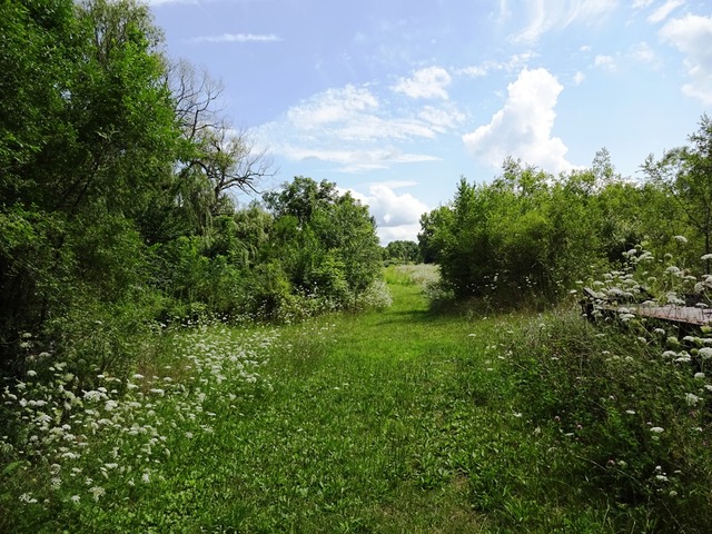 14747 Eddy Rd, Davis Junction, IL 61020 photo 6