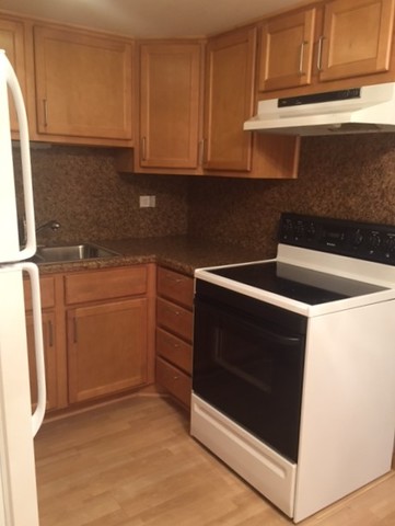 127 N Wolf Rd #51B, Wheeling, IL 60090 photo 9