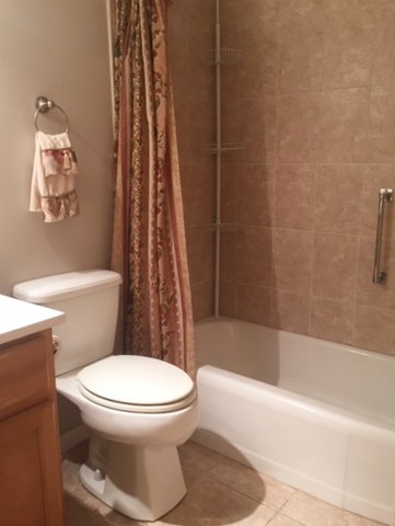 127 N Wolf Rd #51B, Wheeling, IL 60090 photo 15