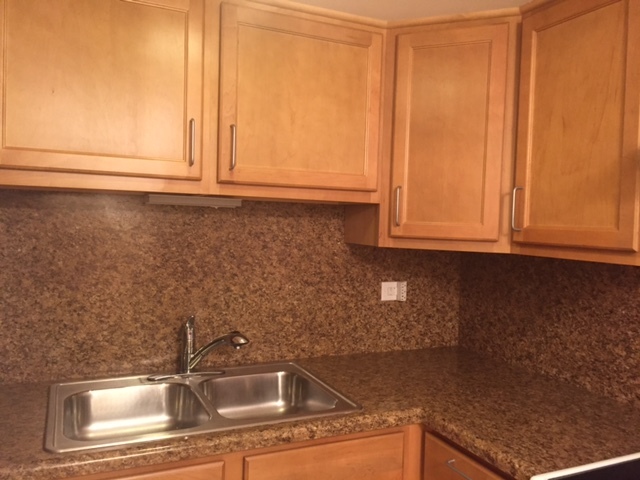 127 N Wolf Rd #51B, Wheeling, IL 60090 photo 6