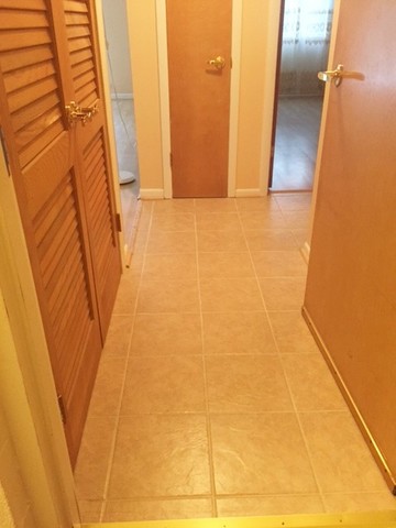 127 N Wolf Rd #51B, Wheeling, IL 60090 photo 19