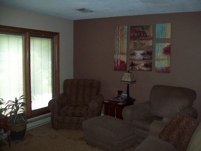 113 Crestview Ct, Walnut, IL 61376 photo 4