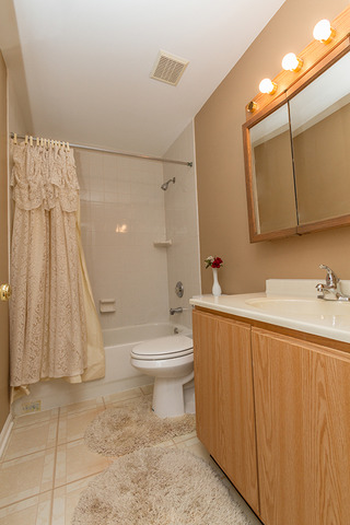 605 Milton Ln, Hoffman Estates, IL 60169 photo 19