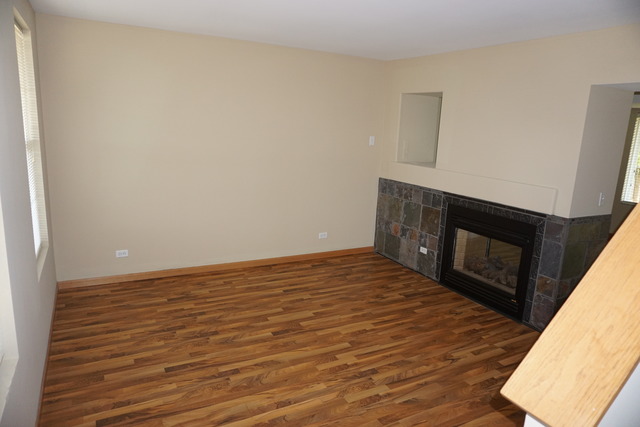 1672 Walnut Park Ln, Aurora, IL 60504 photo 2