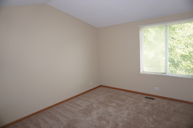 1672 Walnut Park Ln, Aurora, IL 60504 photo 9