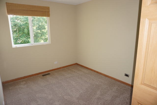 1672 Walnut Park Ln, Aurora, IL 60504 photo 15