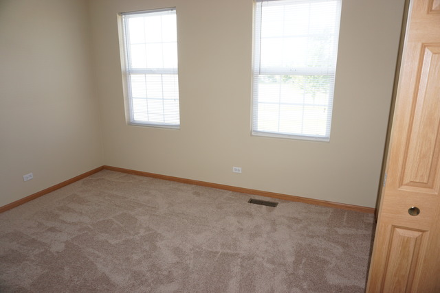1672 Walnut Park Ln, Aurora, IL 60504 photo 13