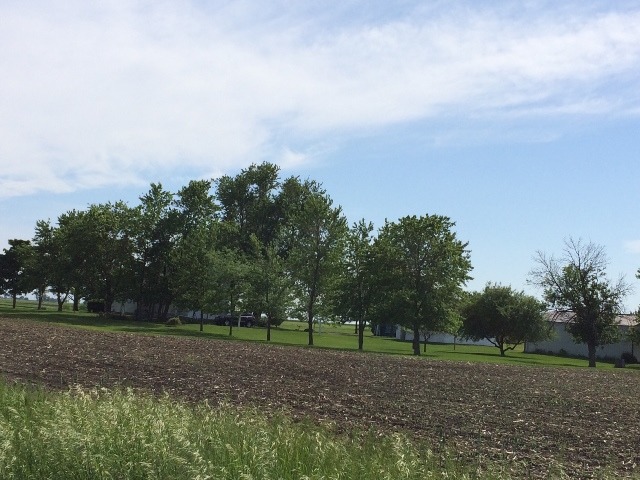 29987 E 3000 North Rd, Dwight, IL 60420 photo 2