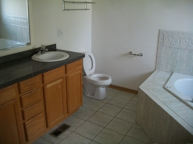 15622 Spaulding Ave, Markham, IL 60428 photo 11