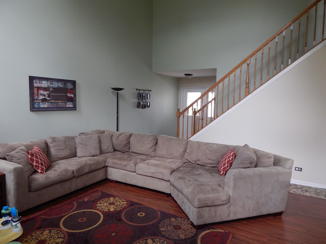 1017 Georgian Pl, Bartlett, IL 60103 photo 3