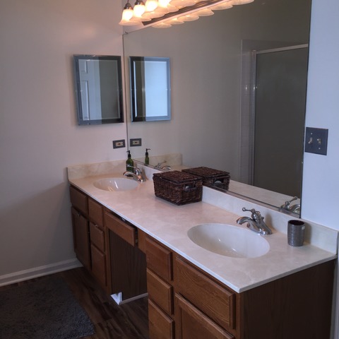 1017 Georgian Pl, Bartlett, IL 60103 photo 13