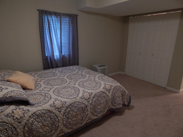 1017 Georgian Pl, Bartlett, IL 60103 photo 14