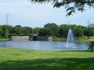 2306 Wesmere Lakes Dr, Plainfield, IL 60586 photo 25