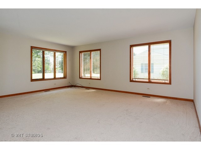 12003 S Wolf Dr, Plainfield, IL 60585 photo 2