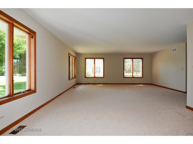 12003 S Wolf Dr, Plainfield, IL 60585 photo 3