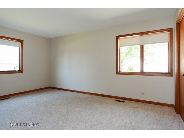 12003 S Wolf Dr, Plainfield, IL 60585 photo 9