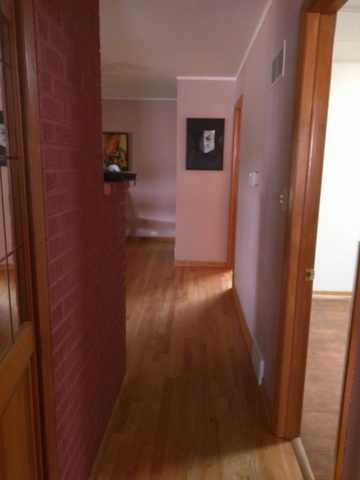 387 Stone Pl, Wheeling, IL 60090 photo 8