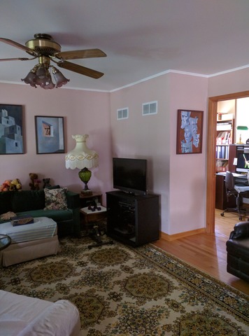 387 Stone Pl, Wheeling, IL 60090 photo 18