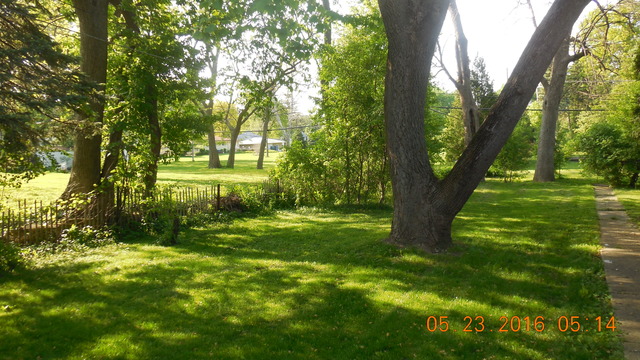 324 E 55th St, Westmont, IL 60559 photo 3