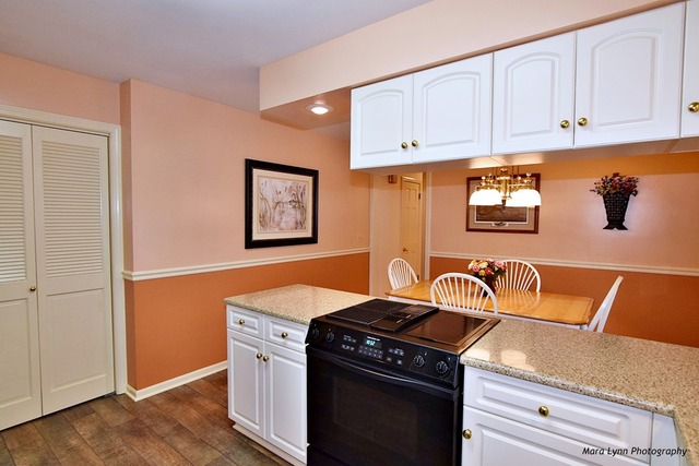 233 Alschuler Dr, Aurora, IL 60506 photo 9