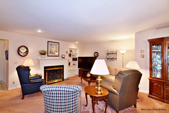 233 Alschuler Dr, Aurora, IL 60506 photo 4