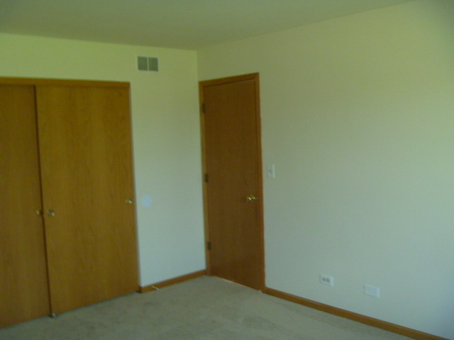 1419 Eliot Trl, Elgin, IL 60120 photo 13