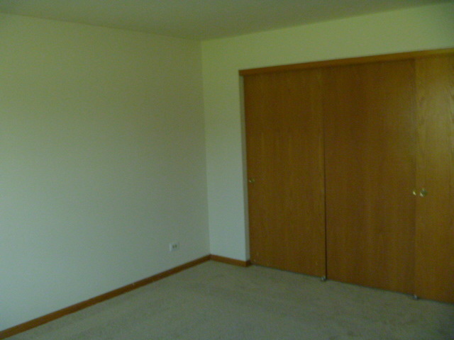 1419 Eliot Trl, Elgin, IL 60120 photo 14