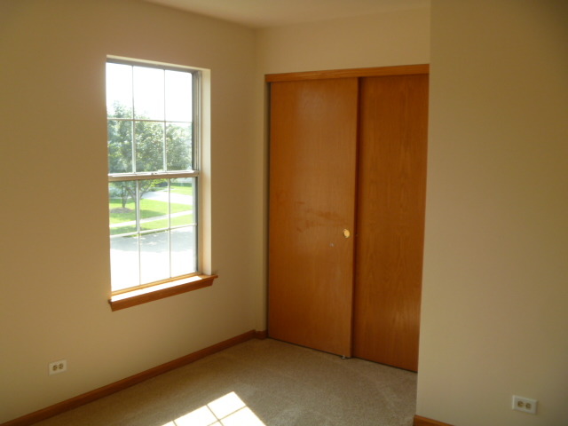 1419 Eliot Trl, Elgin, IL 60120 photo 11