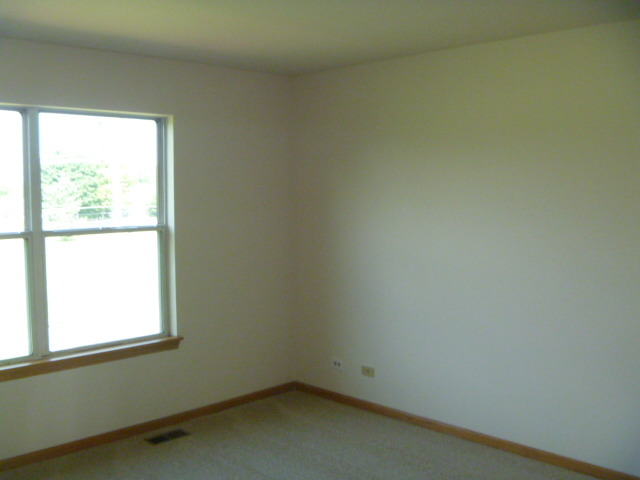 1419 Eliot Trl, Elgin, IL 60120 photo 12