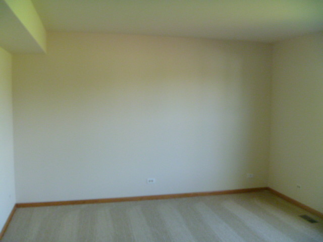 1419 Eliot Trl, Elgin, IL 60120 photo 8